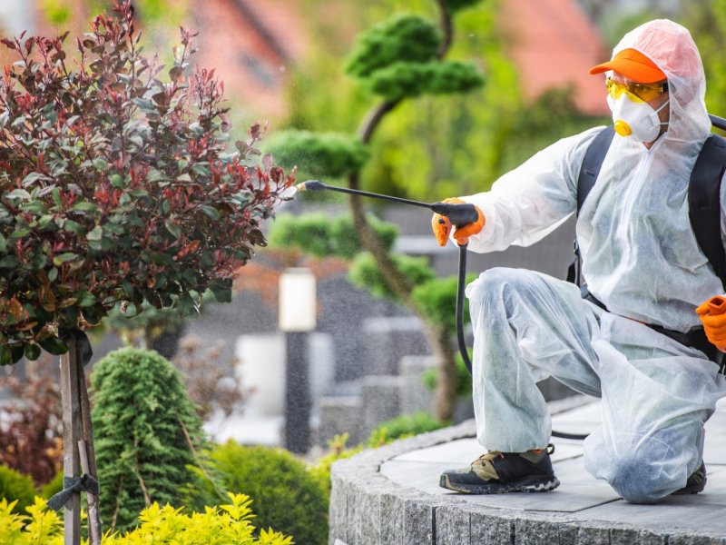 Hüyük Haşere İlaçlama